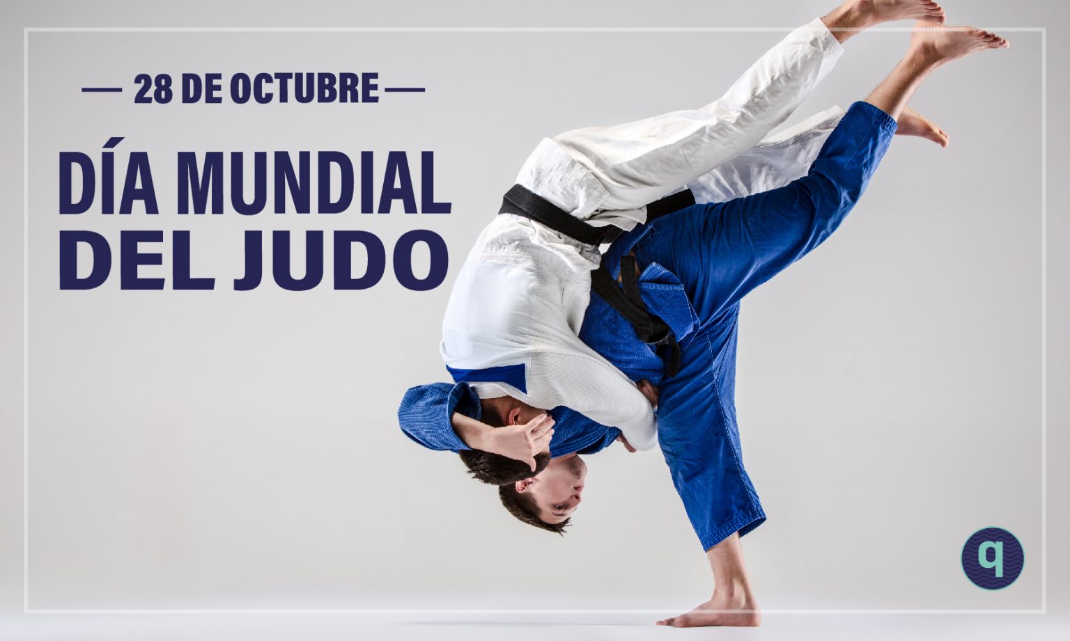 D A Mundial Del Judo Elquintanarroense