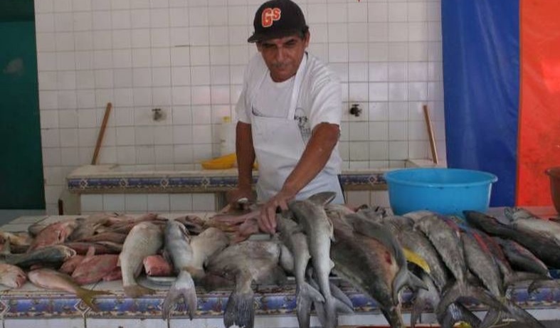 Mejora venta de pescado por Cuaresma en Cancún