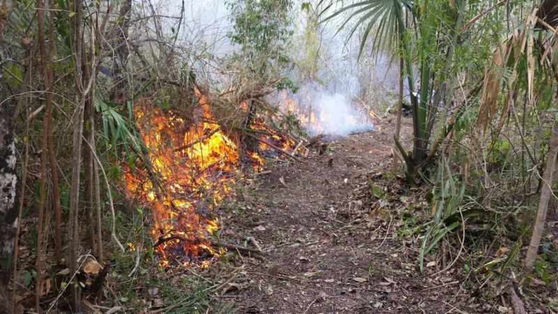 Aumentan los incendios forestales en Playa del Carmen