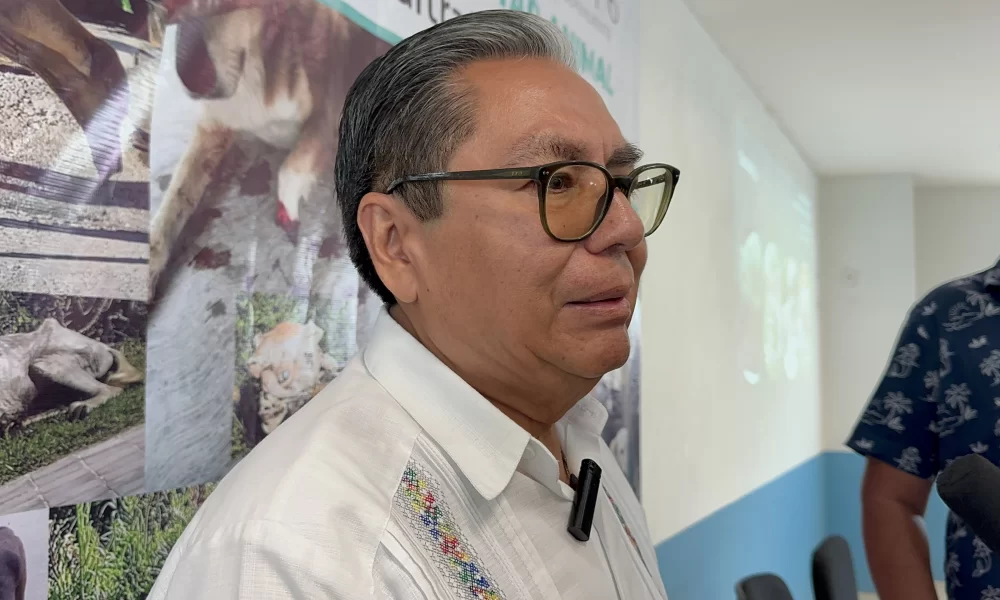 Darán solución a casos de maltrato animal en Quintana Roo