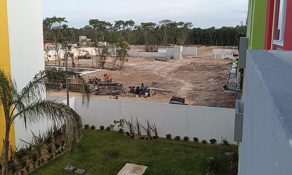 Déficit de árboles dispara calor en Playa del Carmen